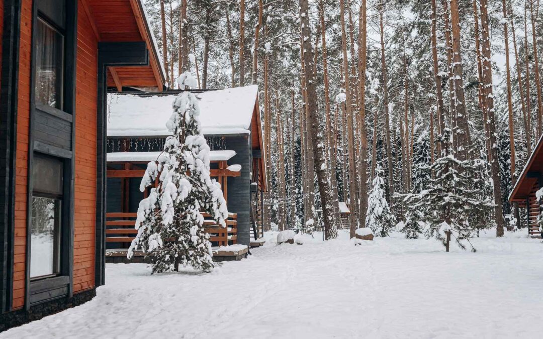 Homeowners Insurance Preventing the January Disaster: Your Guide to Avoiding and Insuring Against Burst Pipes